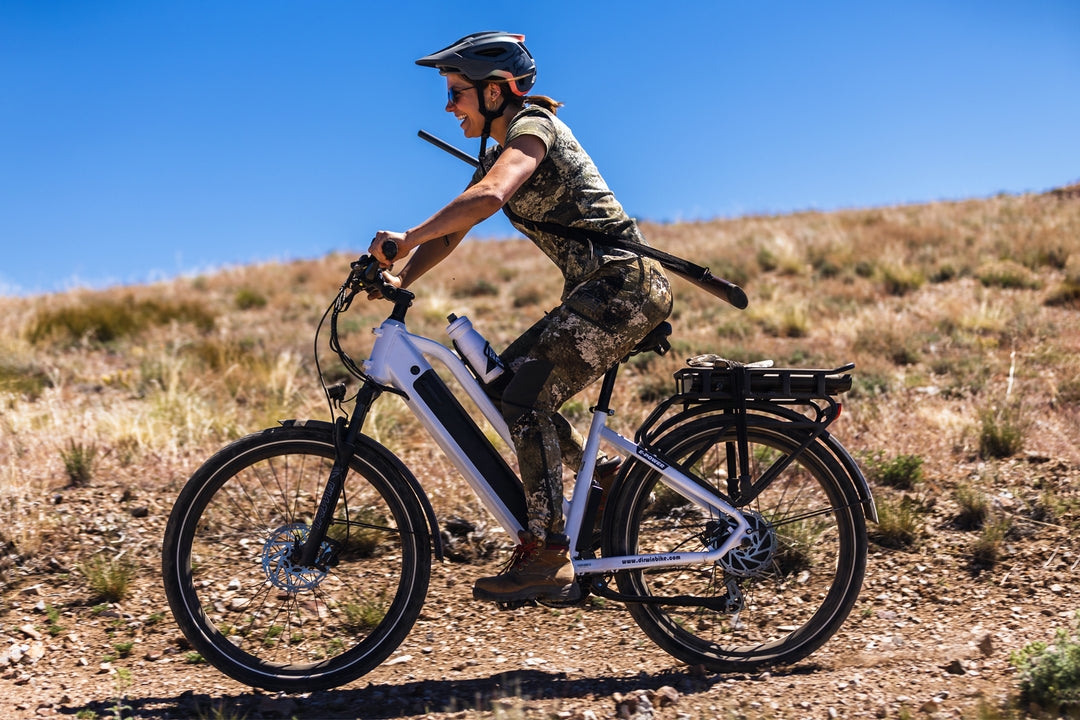 Cargo Ebikes for Pets, Picnic Gear, and Outdoor Adventures