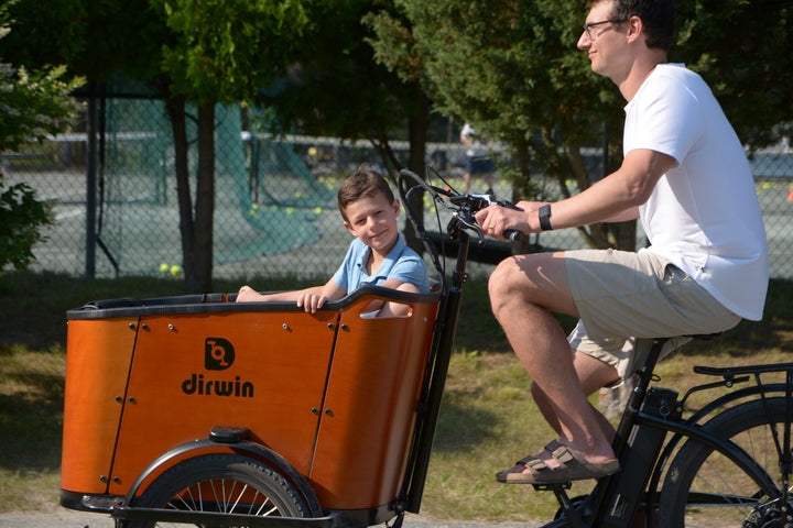 Heavy-Duty Cargo Ebikes with High Weight Capacity Dirwin Bike Heavy-Duty Cargo Ebikes with High Weight Capacity