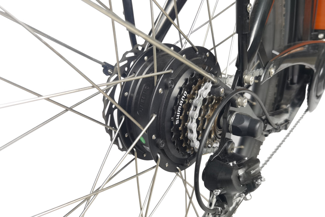 Carry Multiple Children Safely on One Bike