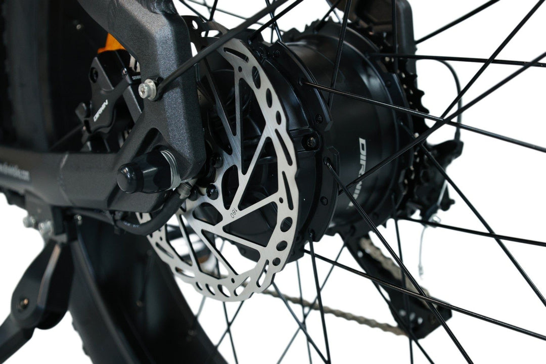 Can Pioneer 2 carry both passengers and cargo at the same time?