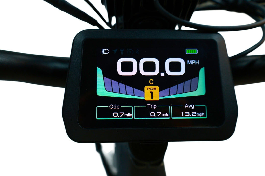 Pedal Assist Makes Heavy Hauling Effortless