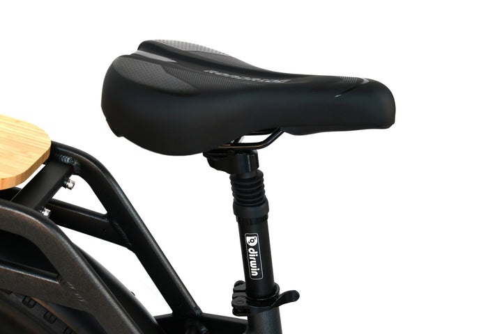 Cargo Ebikes for Weekend Getaways